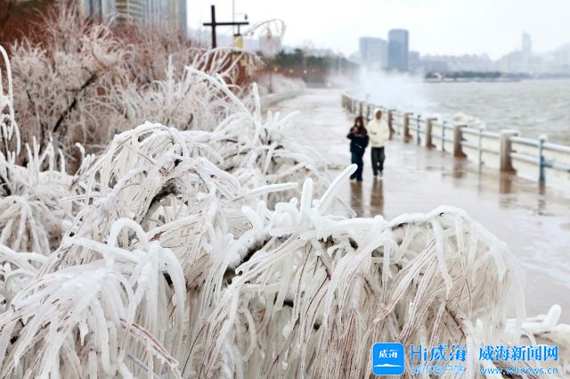 冬游网上十大正规赌网址大全官网 情满山海丨网上十大正规赌网址大全官网上演现实版“冰河世纪”