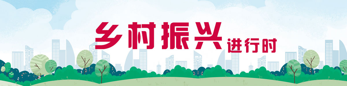 乡村振兴进行时